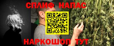 крисы Балаково