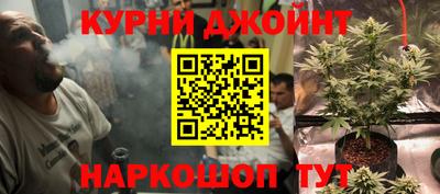 индика Балашиха
