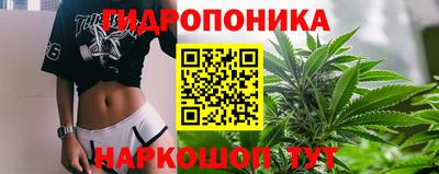 индика Балашиха