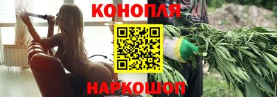 крисы Балаково