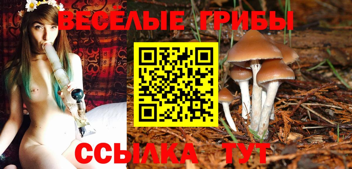 Галлюциногенные грибы прущие грибы Гай