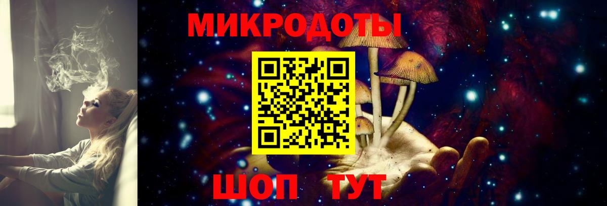 Псилоцибиновые грибы Psilocybe  Псилоцибиновые грибы GOLDEN TEACHER  Гай  Вход с VPN 