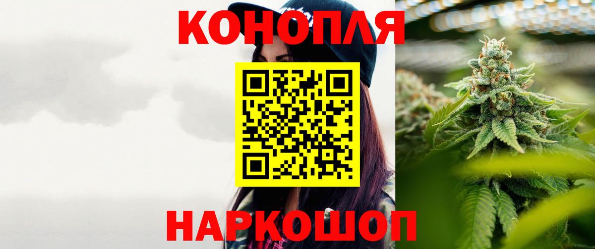 Конопля планчик Гай